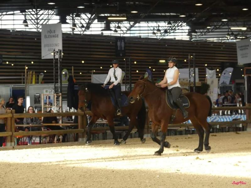 EQUITA LYON 2022 Syndicat National des Éleveurs et Utilisateurs de