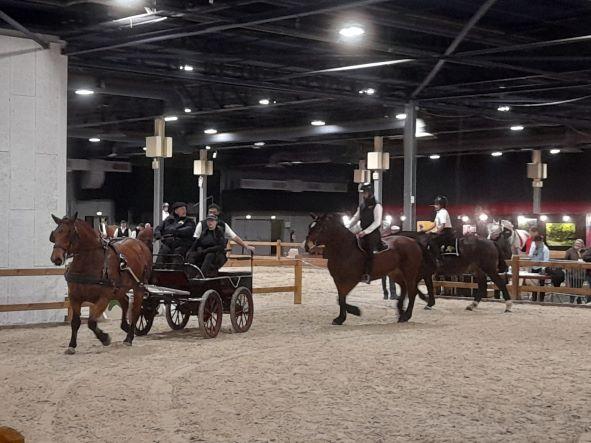 Salon du cheval Angers 2022Cheval