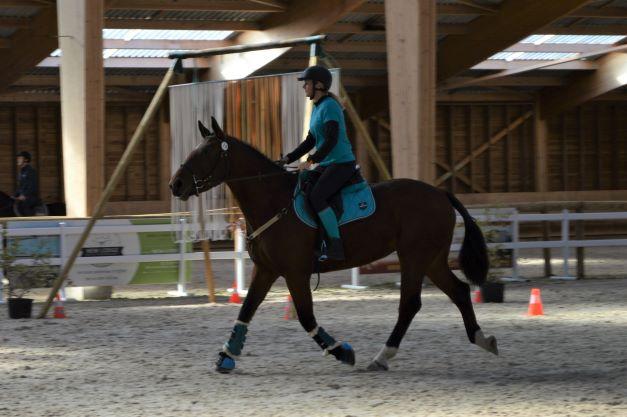 Le salon du cheval d'Angers ouvre ses portes du 9 au 11 novembre 2024 au parc des expositions d'Angers 49