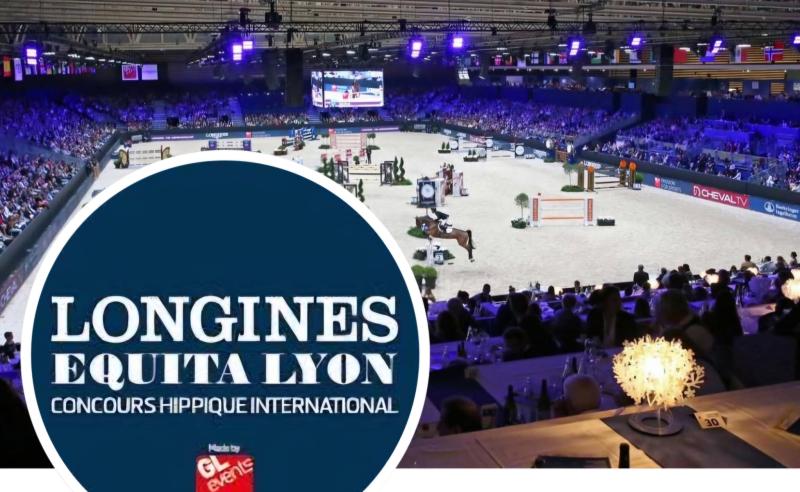 Christophe Girard et sa paire de Cobs Normands présent à Equita Lyon